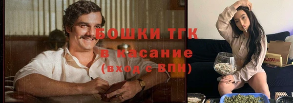 ешки Новодвинск