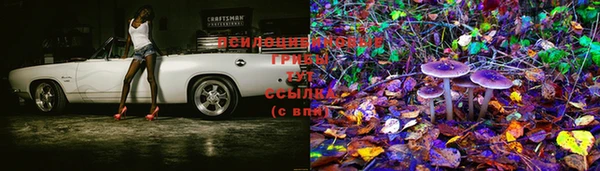 mdpv Нягань