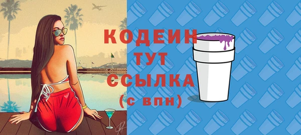 крисы Новозыбков
