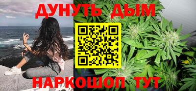 apvp Гусев