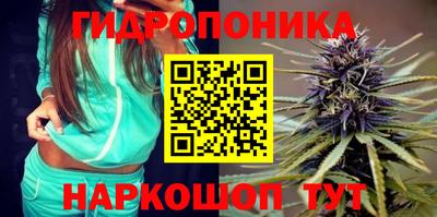 apvp Гусев