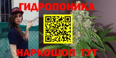 apvp Гусев