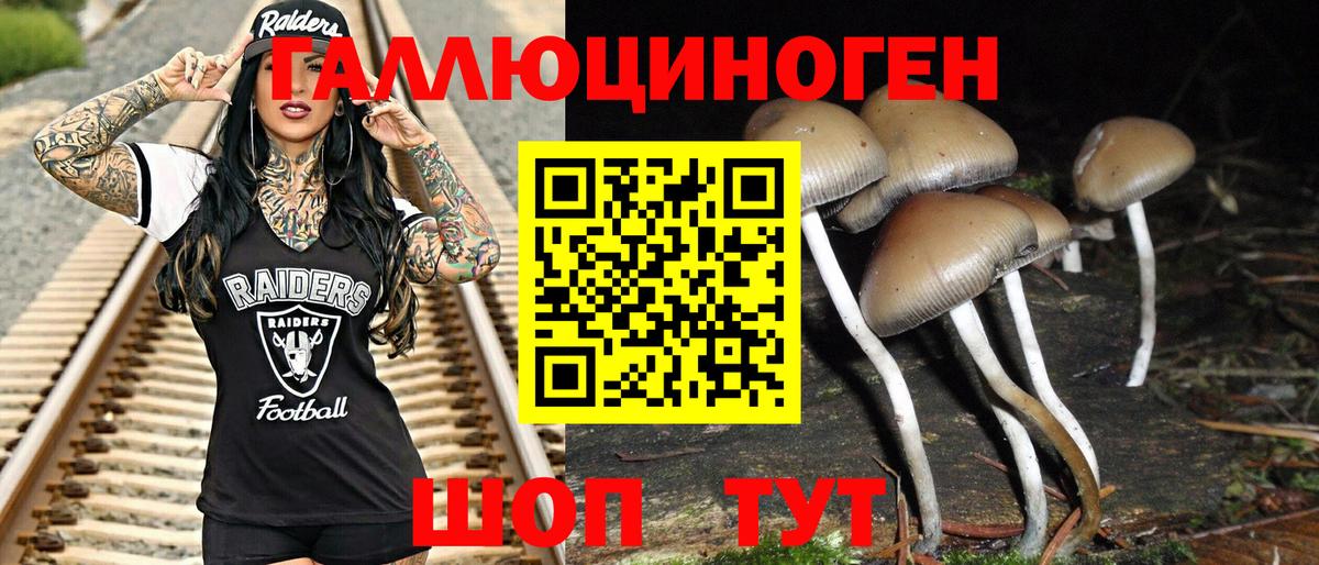 Псилоцибиновые грибы мухоморы Соликамск