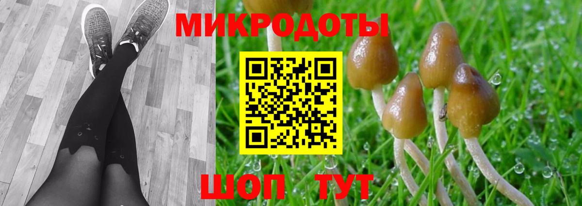 где найти наркотики  Соликамск  Галлюциногенные грибы мухоморы 